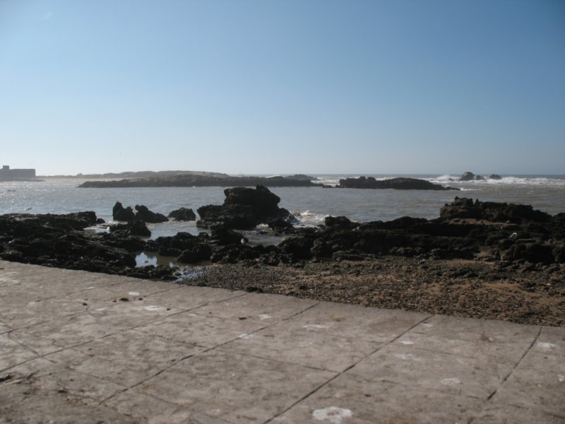 Photograph