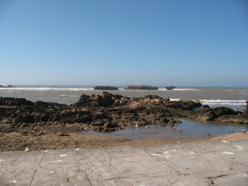 Photograph