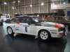 audiquattrorallyea219832_small.jpg