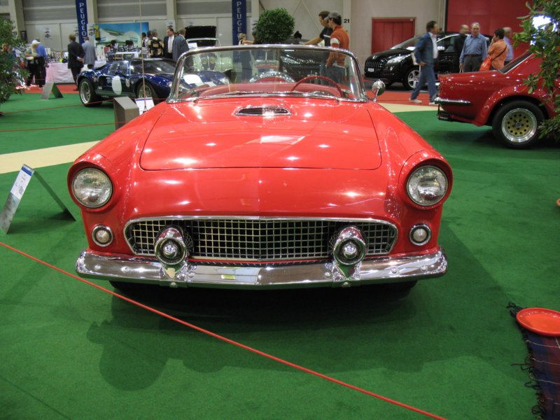 fordthunderbird19555.jpg