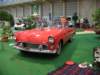 fordthunderbird19556_small.jpg