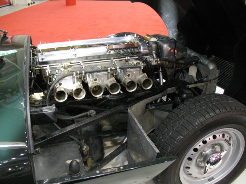 jaguaretypes2.jpg