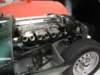 jaguaretypes2_small.jpg