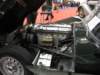 jaguaretypes3_small.jpg