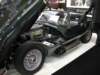 jaguaretypes4_small.jpg