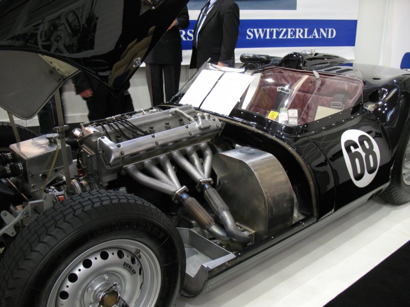 knobblylisterjaguarbhl161958.jpg