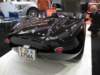 knobblylisterjaguarbhl1619582_small.jpg