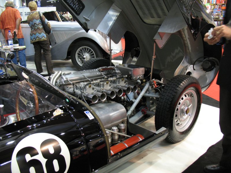 knobblylisterjaguarbhl1619583.jpg