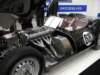 knobblylisterjaguarbhl161958_small.jpg