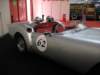 schindlerspyder19704_small.jpg