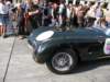 jaguarctypeproteus_small.jpg