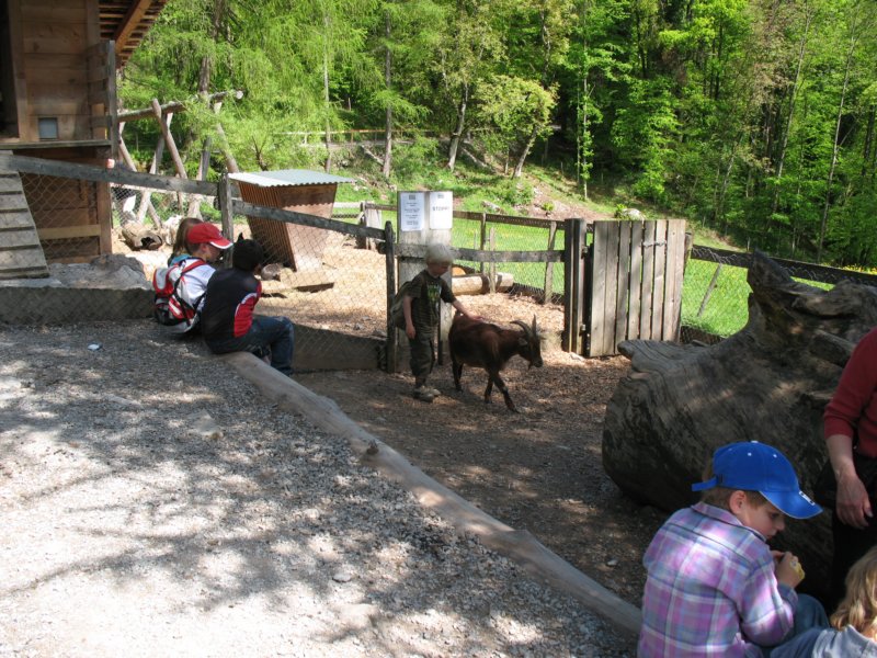 ballenbergbe07may2009112.jpg
