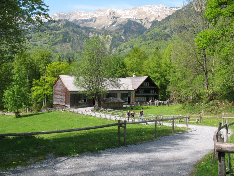 ballenbergbe07may2009145.jpg