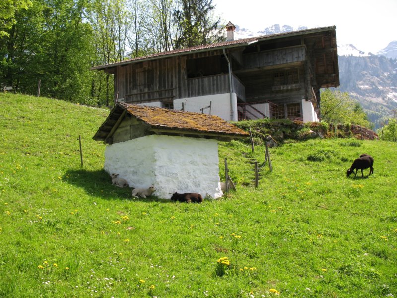 ballenbergbe07may2009148.jpg