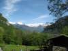 ballenbergbe07may2009164_small.jpg
