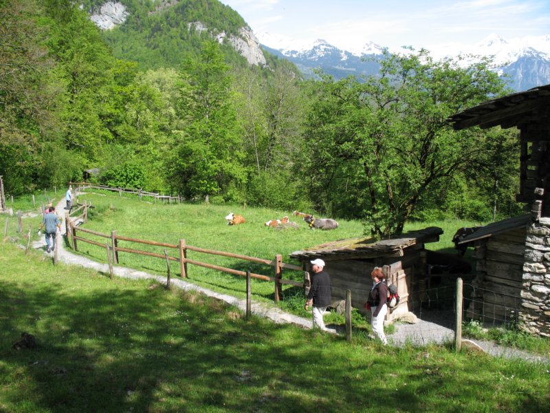 ballenbergbe07may2009165.jpg