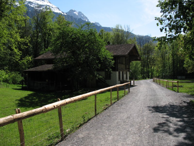 ballenbergbe07may2009167.jpg