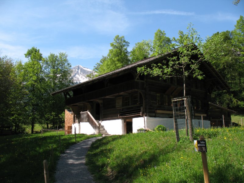 ballenbergbe07may2009172.jpg