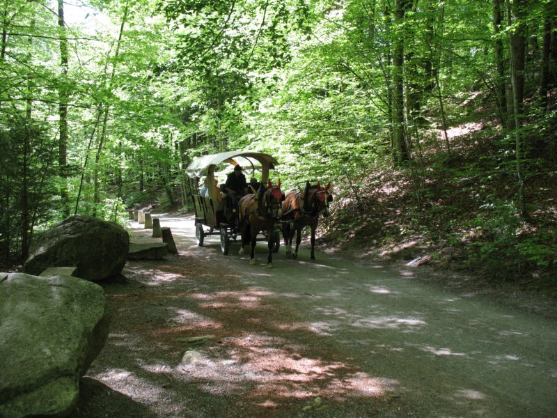 ballenbergbe07may2009174.jpg