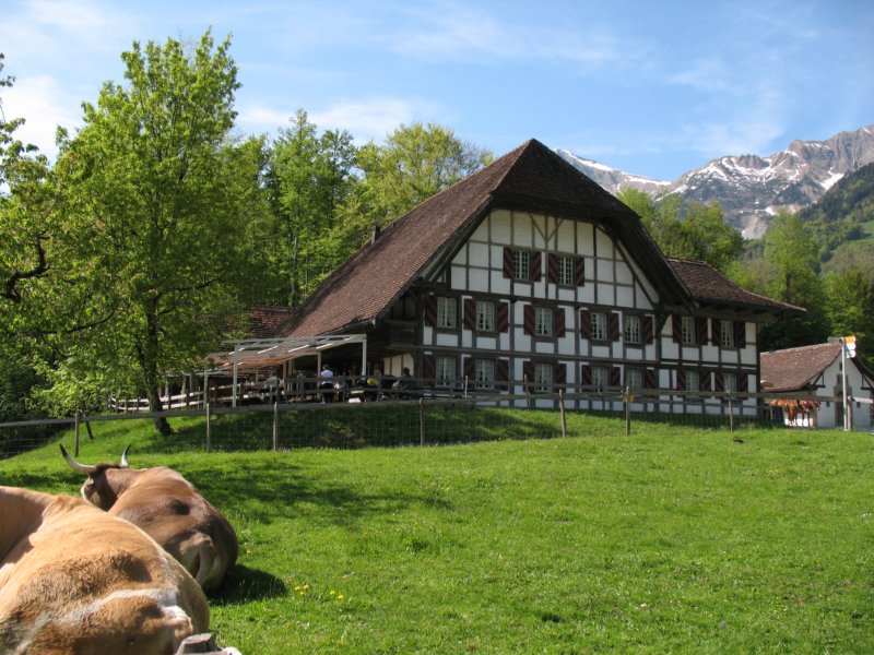 ballenbergbe07may2009187.jpg