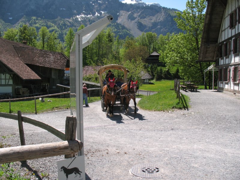 ballenbergbe07may20097.jpg