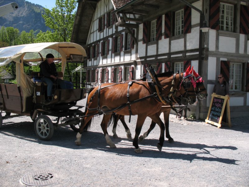 ballenbergbe07may20098.jpg