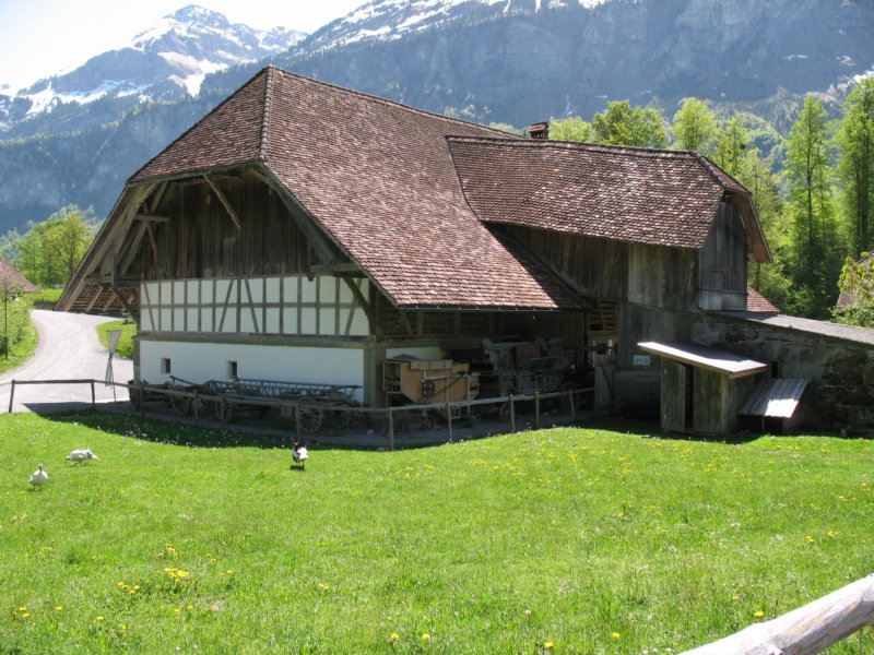 ballenbergbe07may20099.jpg