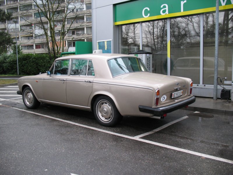 bentleyt24.jpg