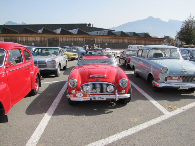 austinhealey3000mkiii3.jpg
