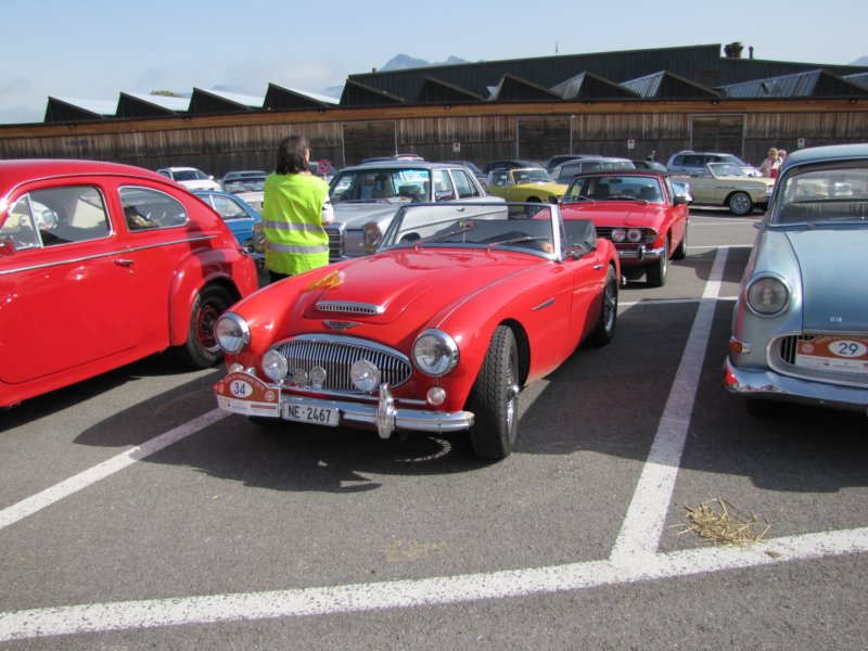 austinhealey3000mkiii5.jpg