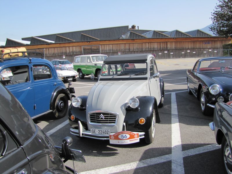 citron2cv6.jpg
