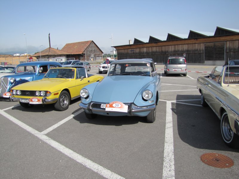 citronds217.jpg