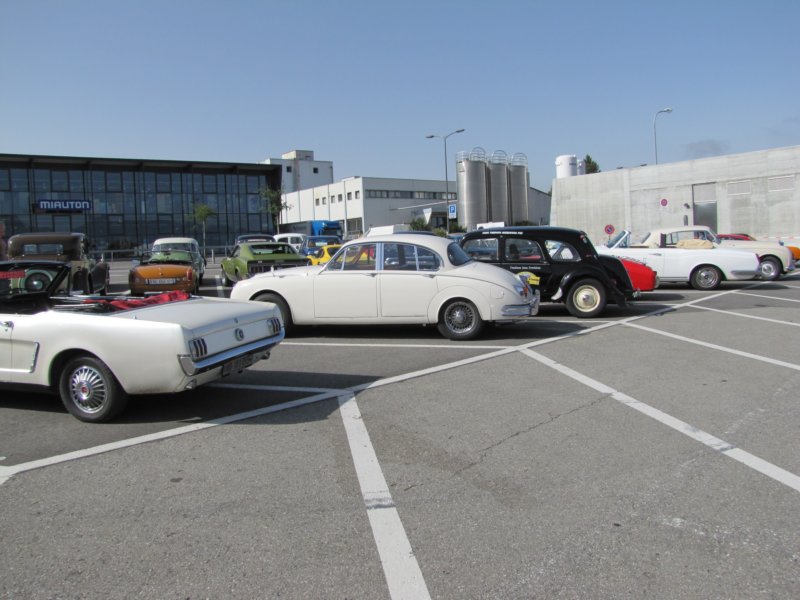 daimler25017.jpg