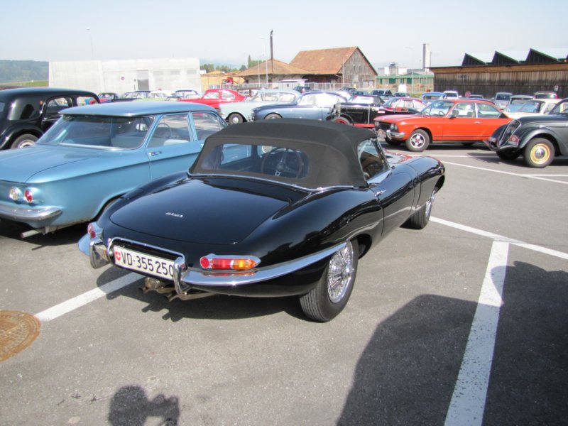 jaguaretypeots5.jpg