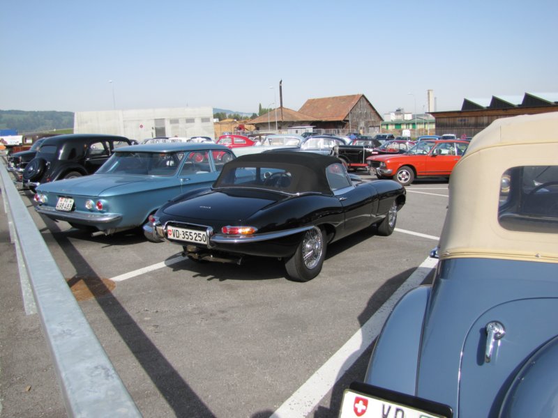 jaguaretypeots6.jpg