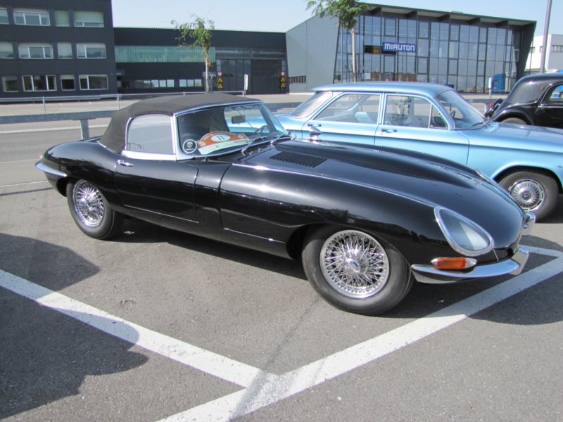 jaguaretypeots8.jpg