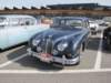 jaguarmark24_small.jpg