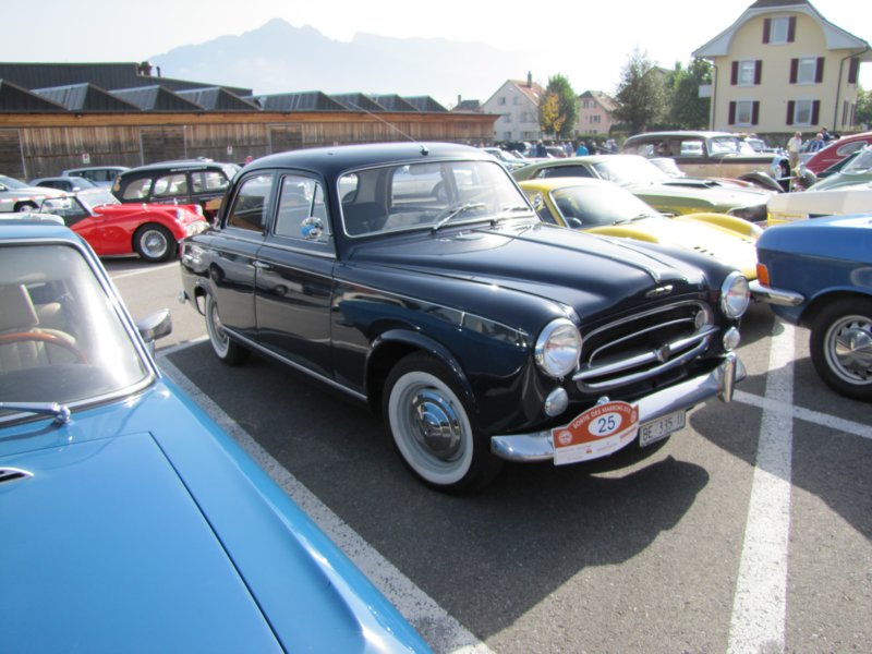 peugeot4036.jpg