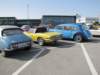 triumphstag10_small.jpg