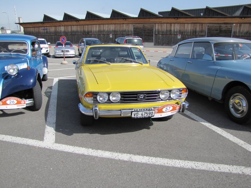 triumphstag11.jpg