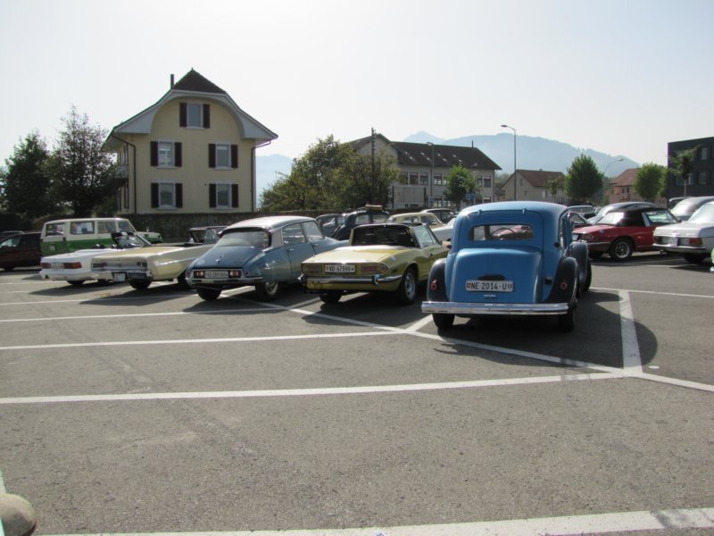 triumphstag12.jpg