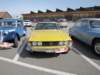 triumphstag13_small.jpg