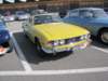 triumphstag15_small.jpg
