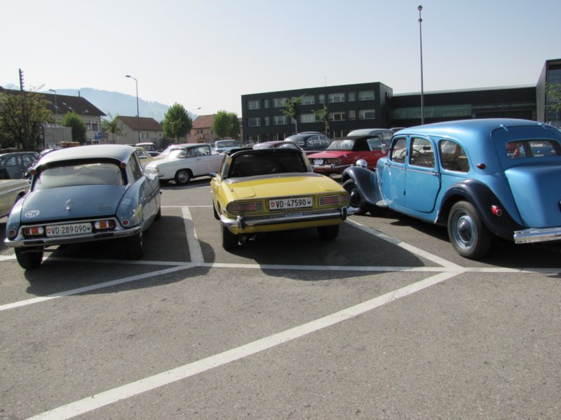 triumphstag17.jpg