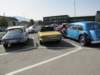 triumphstag17_small.jpg
