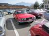 triumphstag3_small.jpg