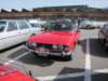 triumphstag6_small.jpg
