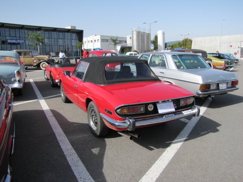 triumphstag8.jpg