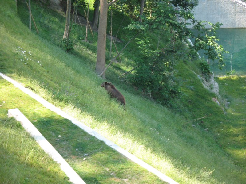 img_2732.jpg