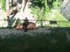 img_2781_small.jpg